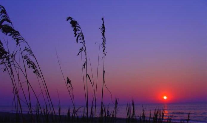 Lee'S Myrtle Beach Condo Exteriér fotografie